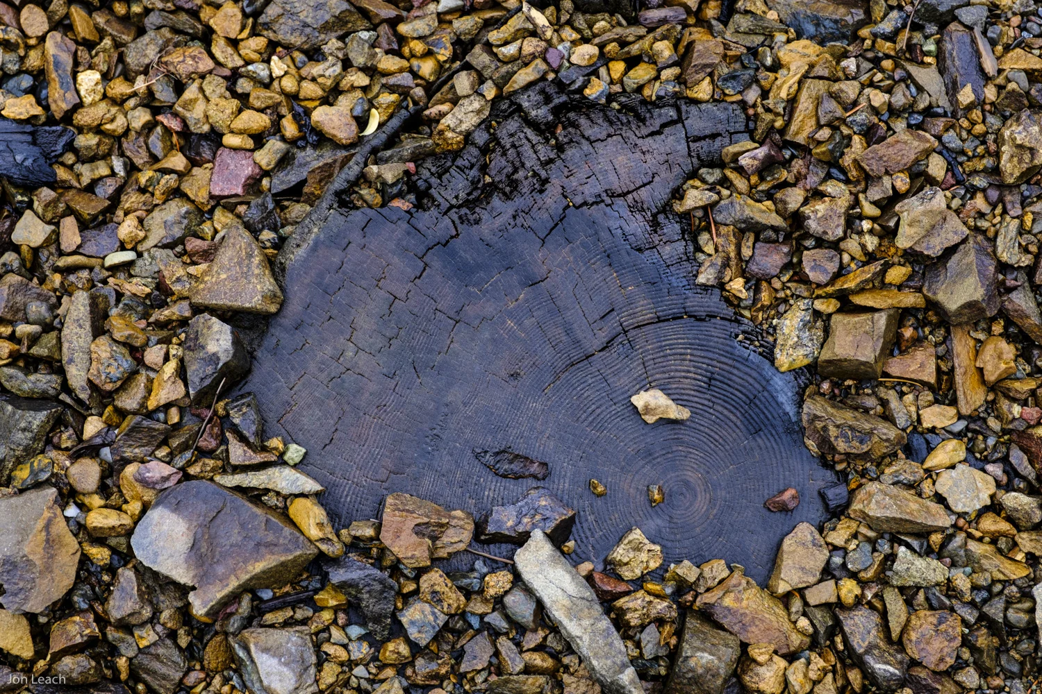 _DSF0419-1.jpg