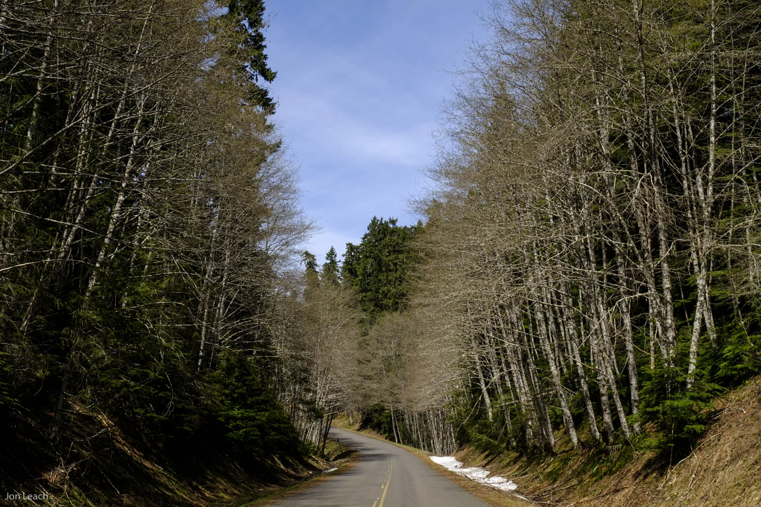 _DSF0423-2-1.jpg