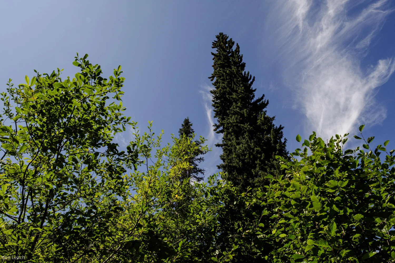 _DSF0106-1.jpg