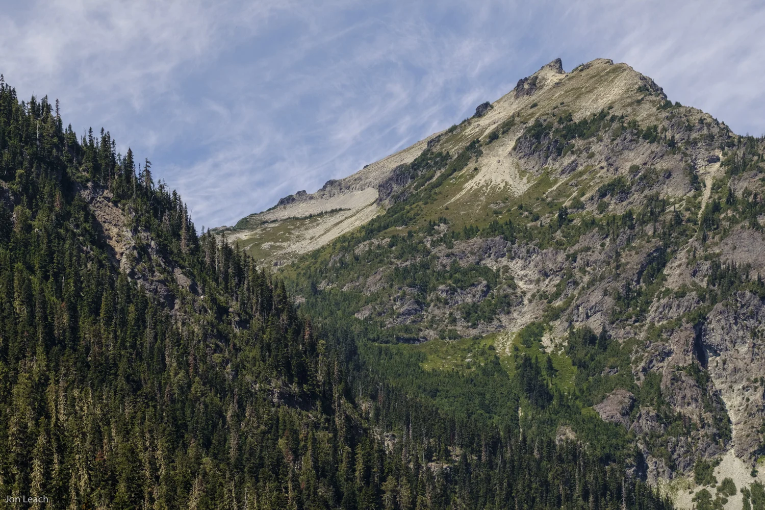 _DSF0152-1.jpg