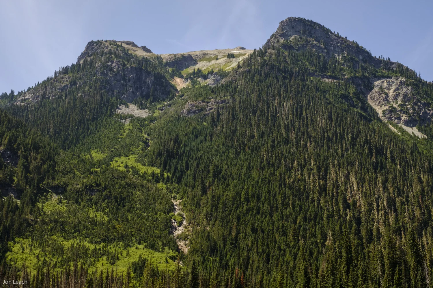 _DSF0183-1.jpg