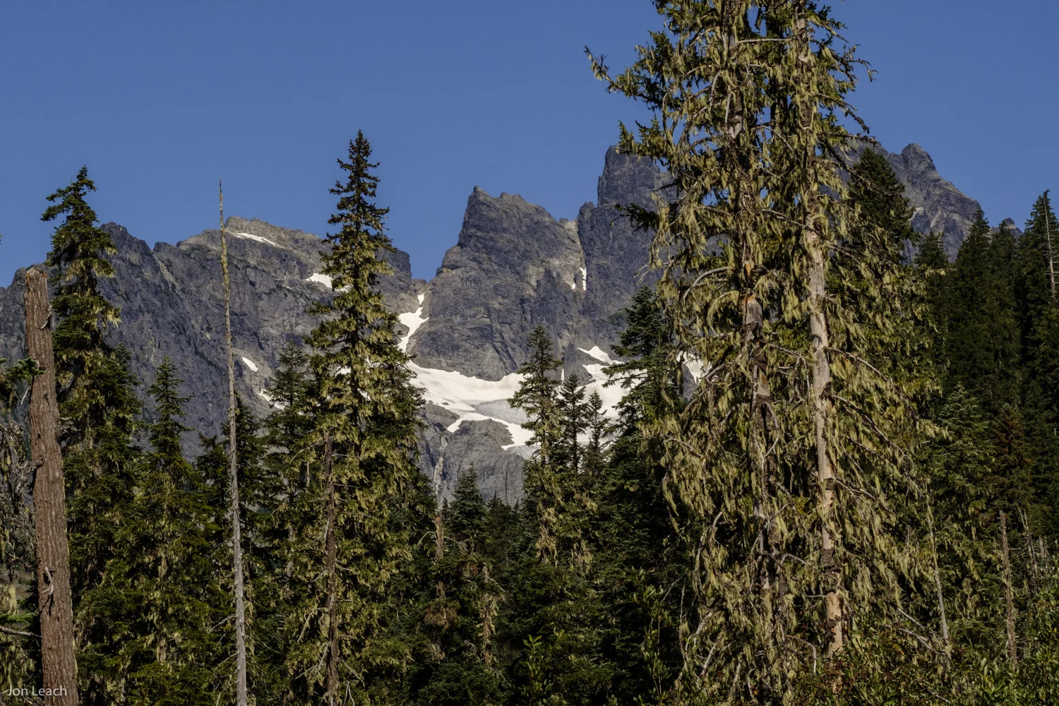 _DSF0612-1.jpg