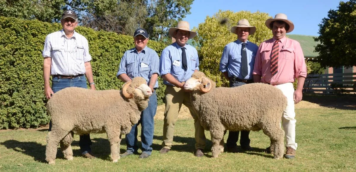 Boorooma stud, Walgett, bought three rams including the two second-top-priced $6000 Merino rams. Pictured id Boorooma classer Robert Campbell, owner John Wheaton holding one with HR stud manager, Andy Maclean holding the other, HR principal, George Falkiner and Brett Smith, Elders, Walgett.