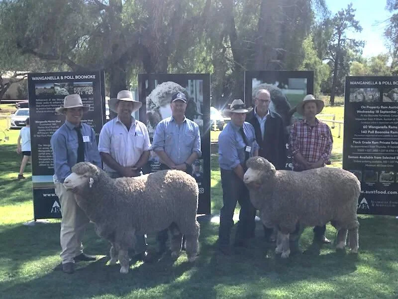Pictured is Andy Maclean, George Falkiner, Shannon Mitchell (centre) and Stuart Murdoch (right) with Poll Rams Lot 5 and Lot 8, purchased at the 2019 Poll Boonoke Sale.