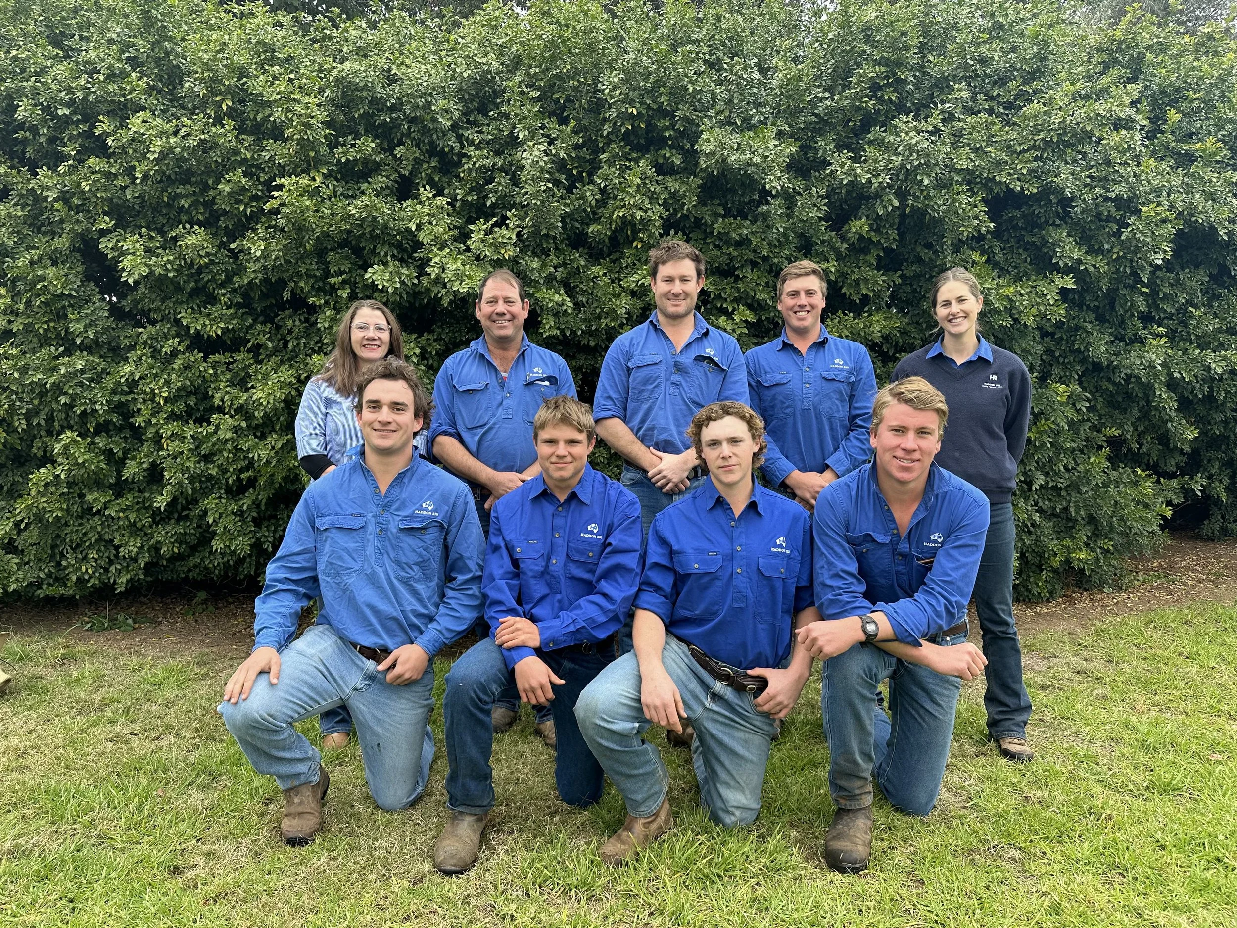 Stud Overseer wanted — HADDON RIG MERINO STUD