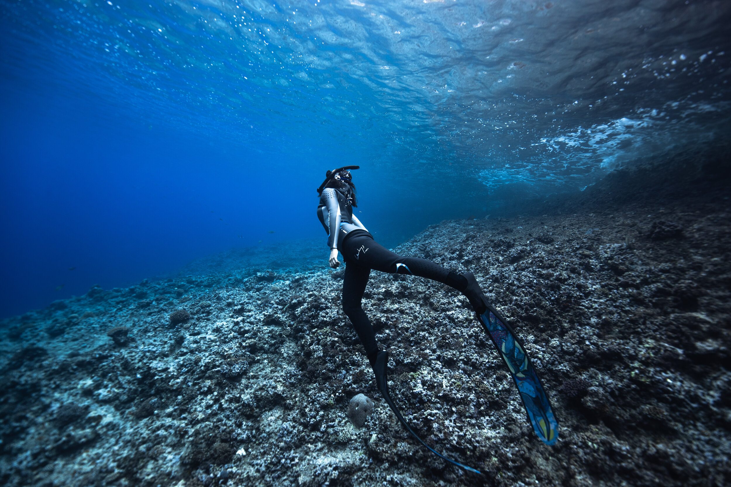 Jono for V BEST free dive.jpg