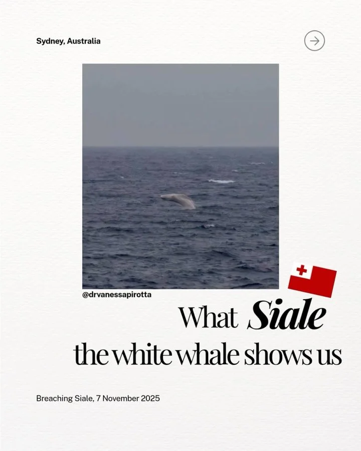 What Siale the white whale shows us and how to keep her safe while she swims in Australian waters.

A short science communication post for those wanting to learn more about this very special sighting this week in Australia.&nbsp;

A collaborative eff