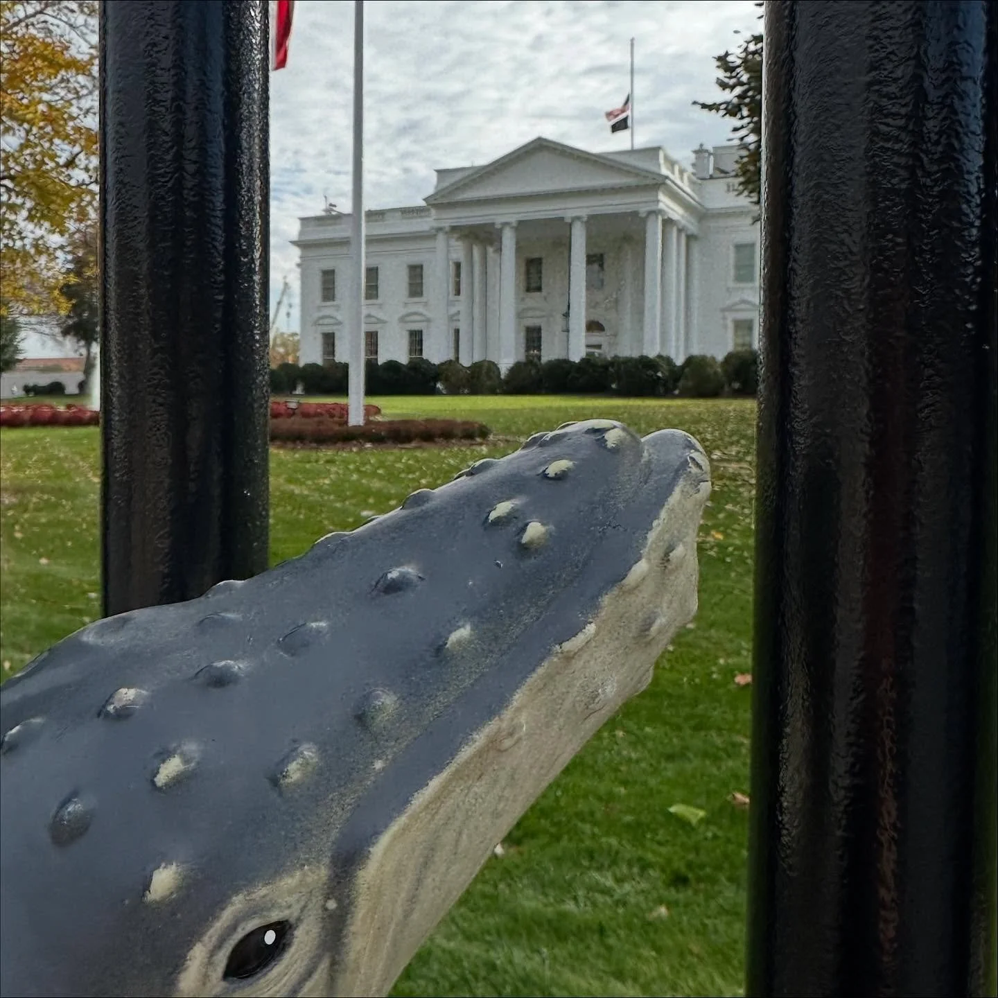 Where in the world is Winston and why?&hellip;..

Hint: #scicomm