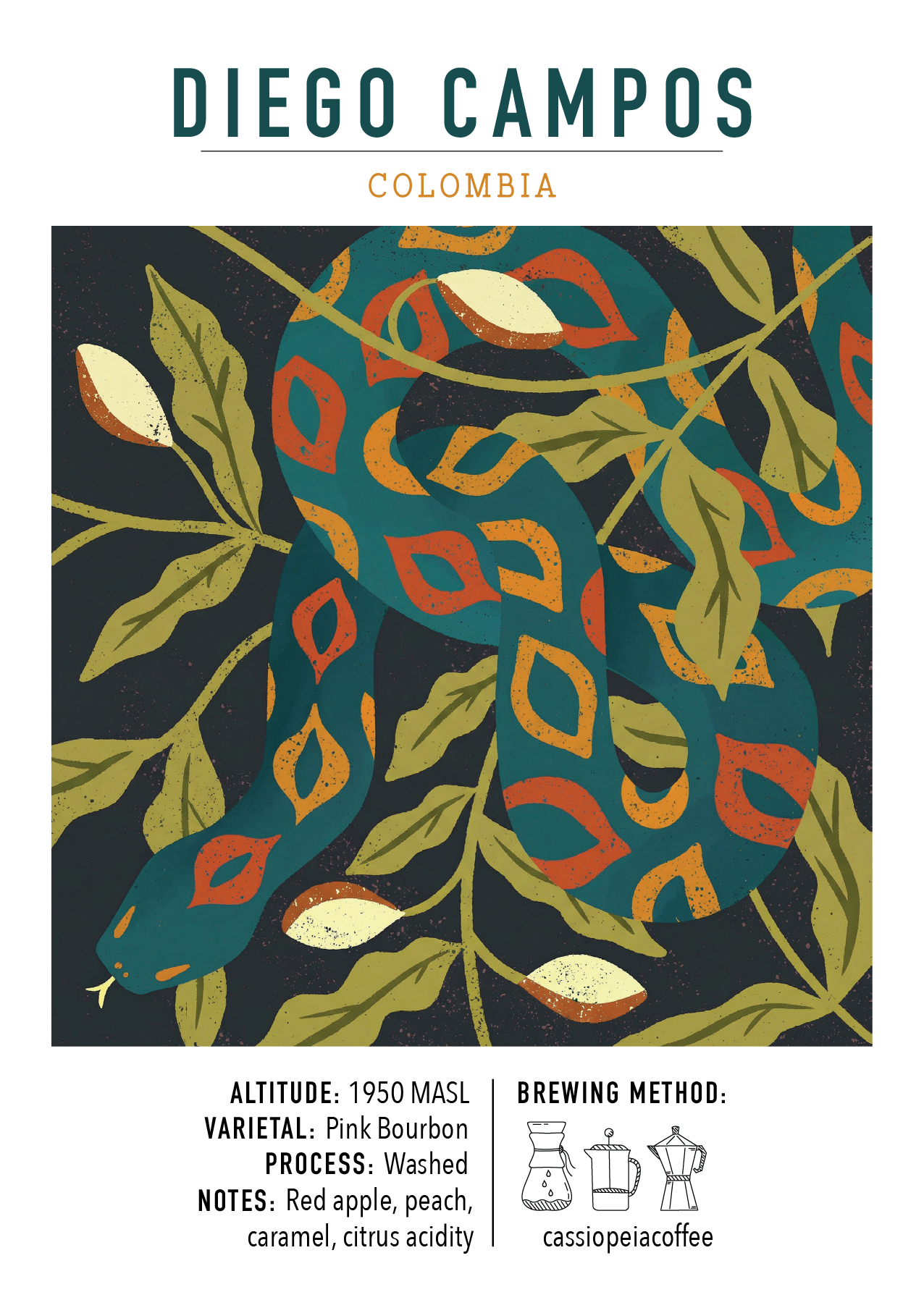 Diego Campos, Colombia (Filter)