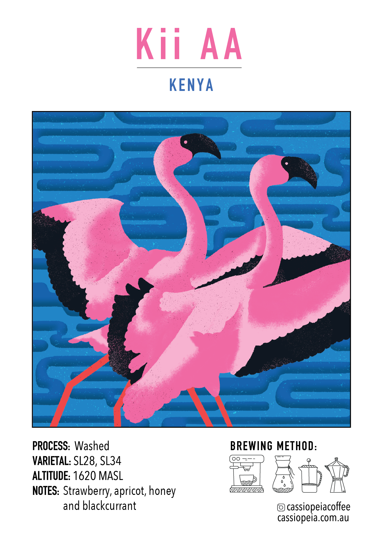 Kii AA, Kenya (Filter)