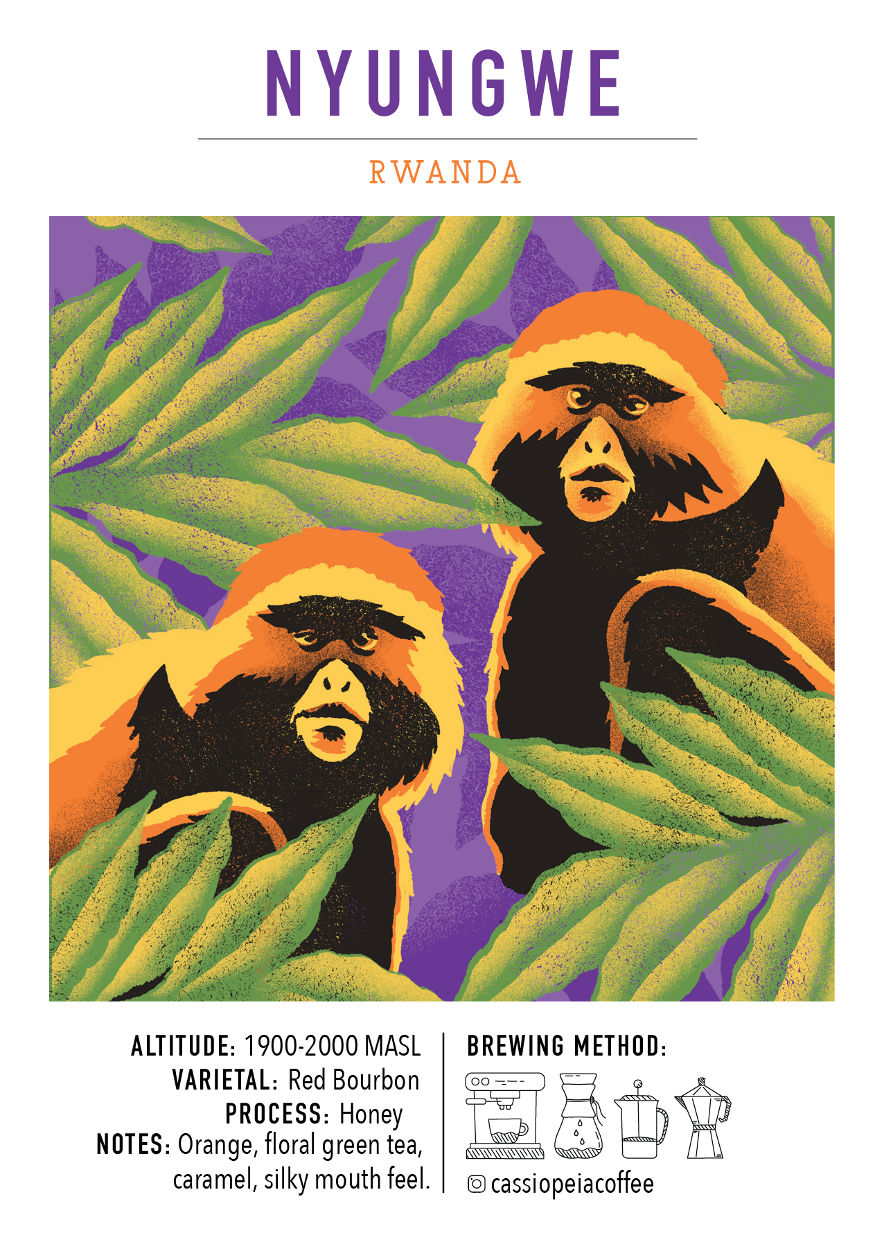 Nyungwe, Rwanda (Omni)