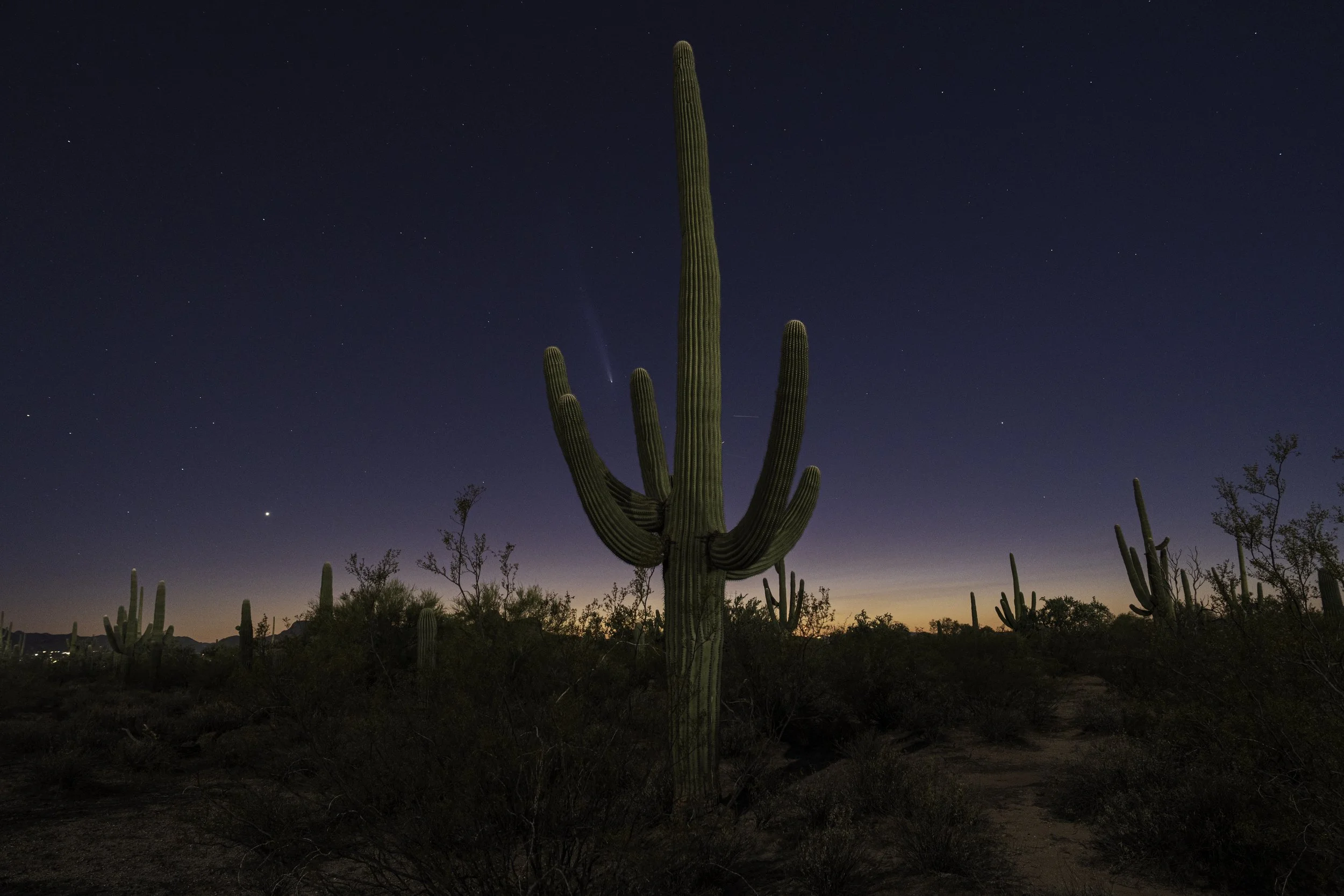 LAT01353-Edit copysm.jpeg