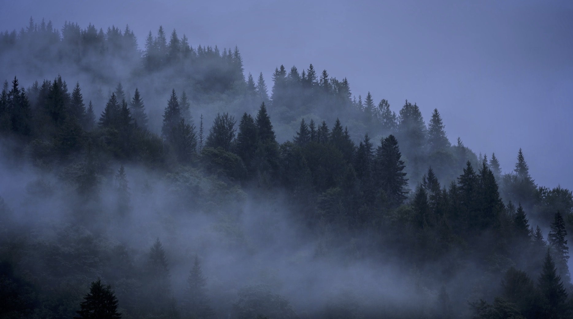 Barzakh Trees.jpg