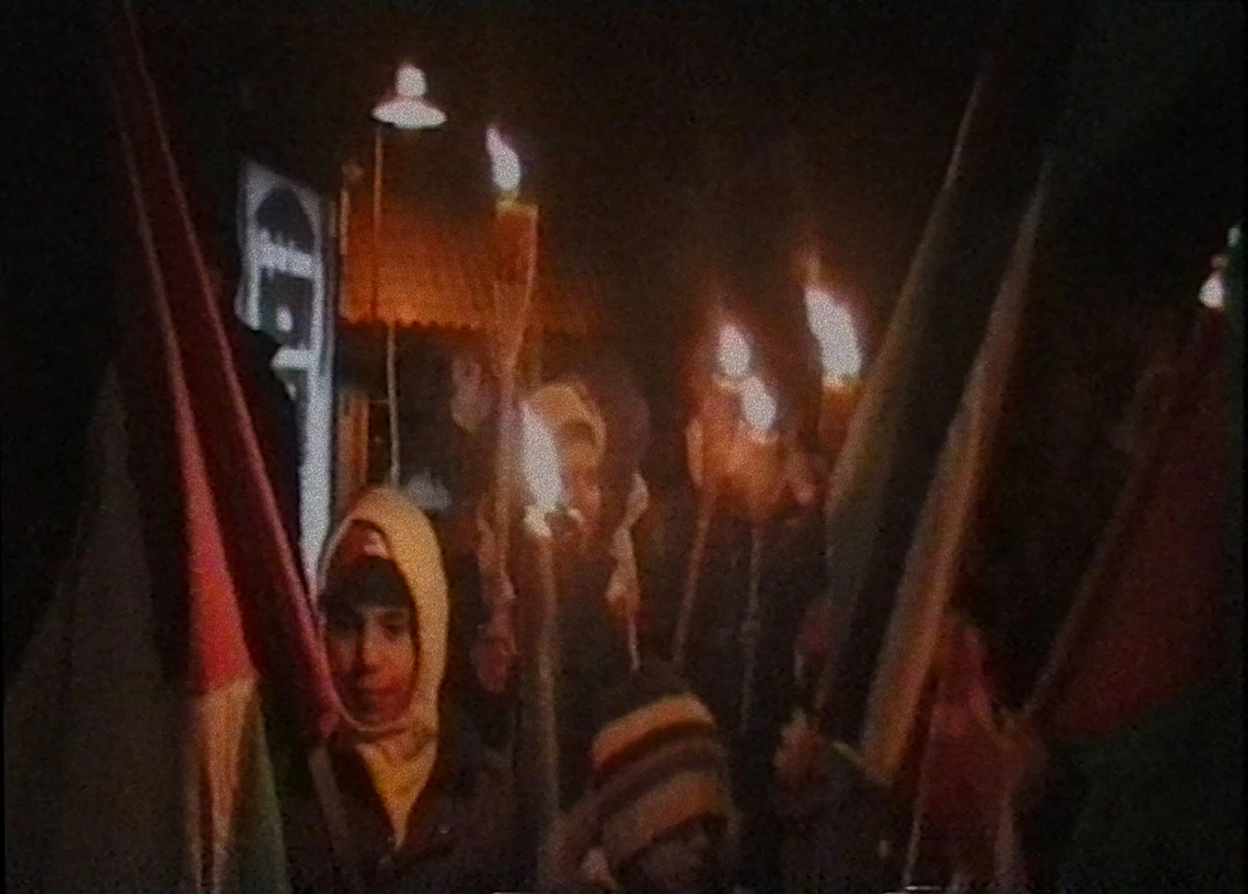 I Signed the Petition (2018)