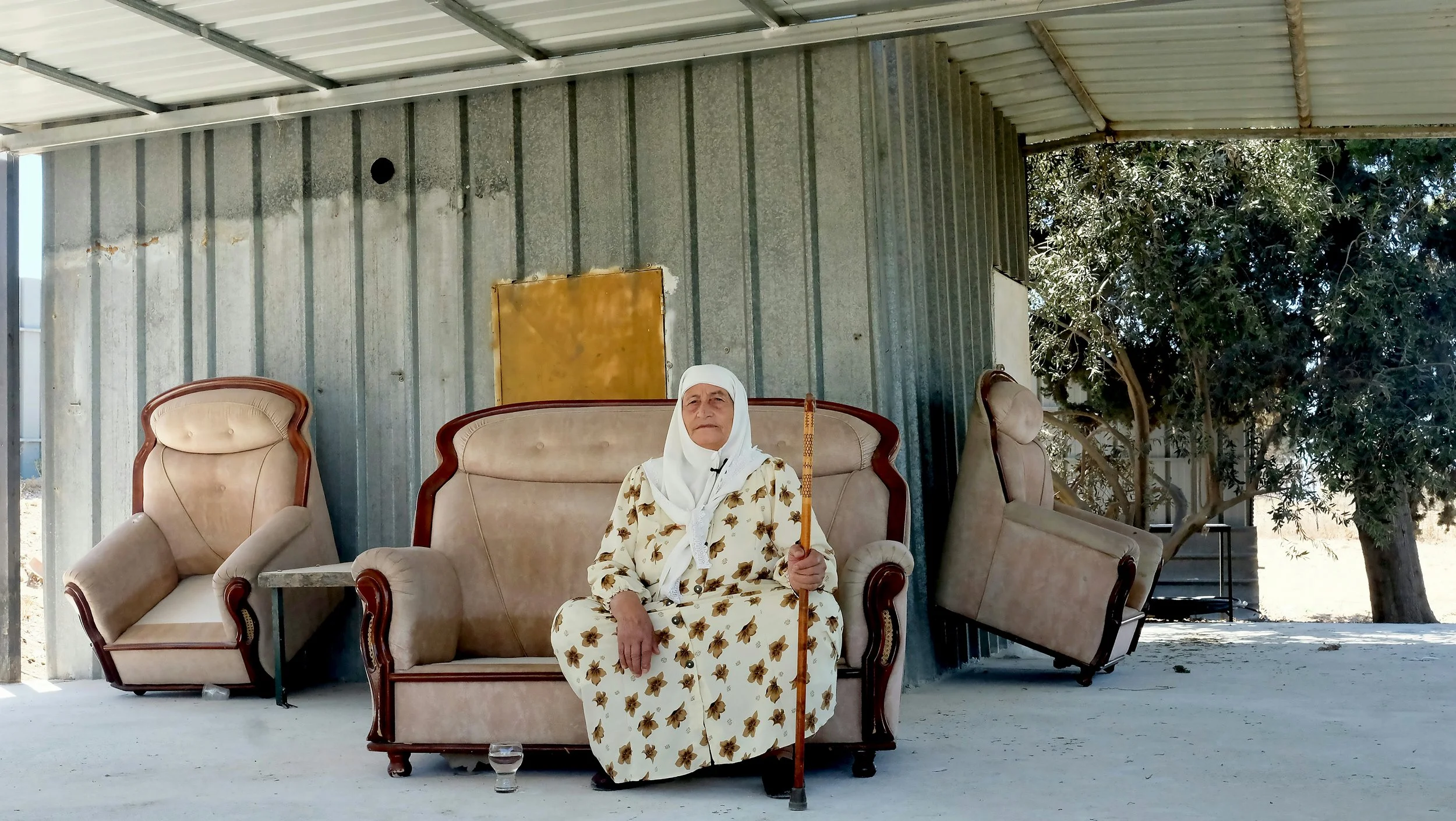 منيموسين (٢٠١٦)