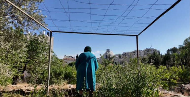 Azziza: In a Cherished Land