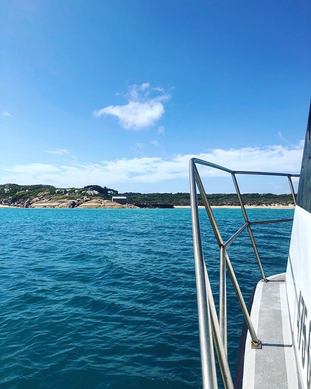 On approach to #threehummockisland with Northwest Boat Charters. Just another great way to reach this very special island! 🛥😃👌
.
.
.
.
#tasmania #discovertasmania #cradlecoast #cradlecoasttasmania #visitcradlecoast #cradletocoast #bassstrait #secr