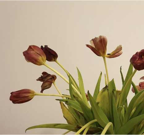 2024: The Year I Became Part of the Sandwich Generation