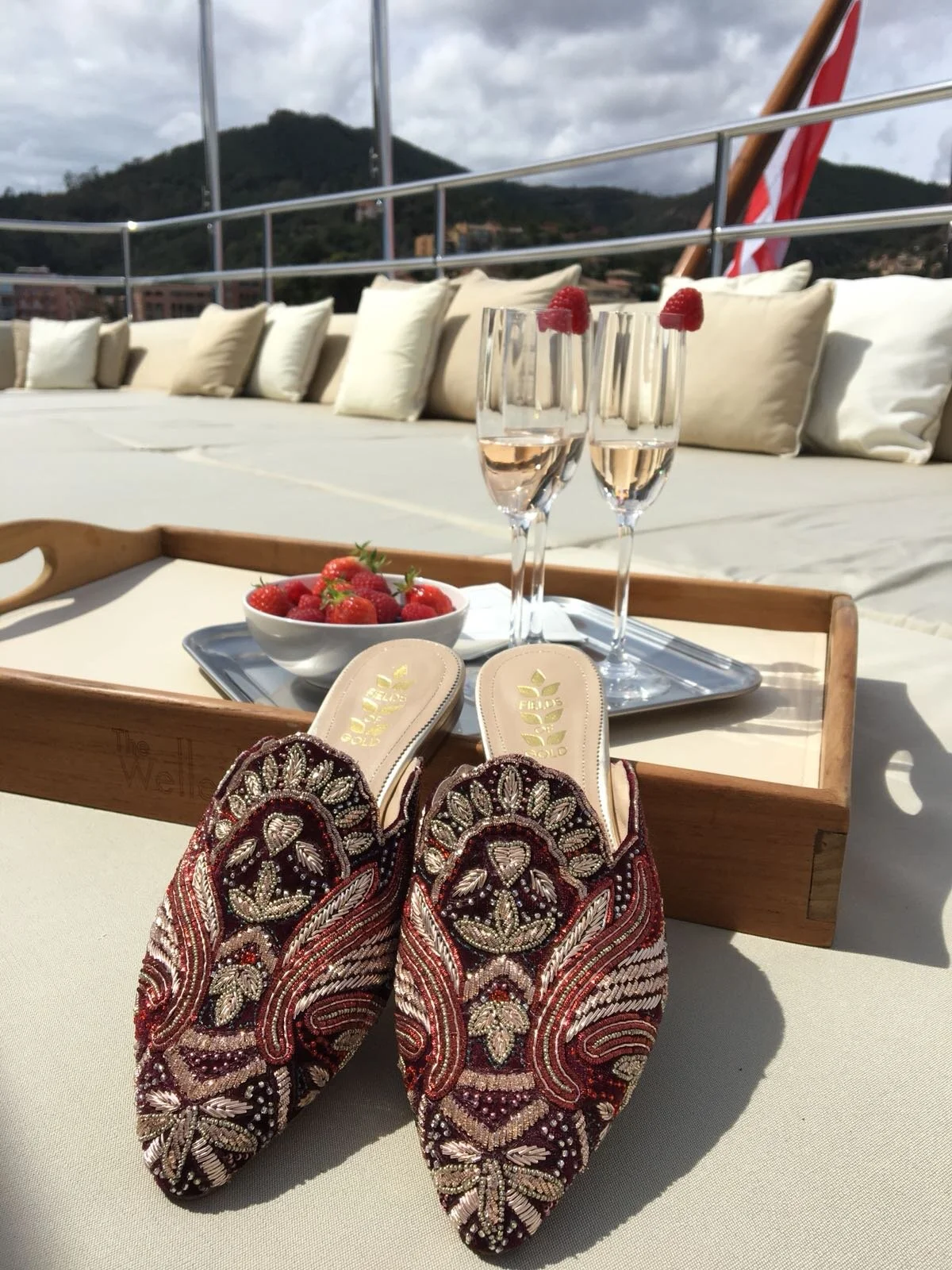 WELLESLEY YACHT LOVERS CHAMPAIGN