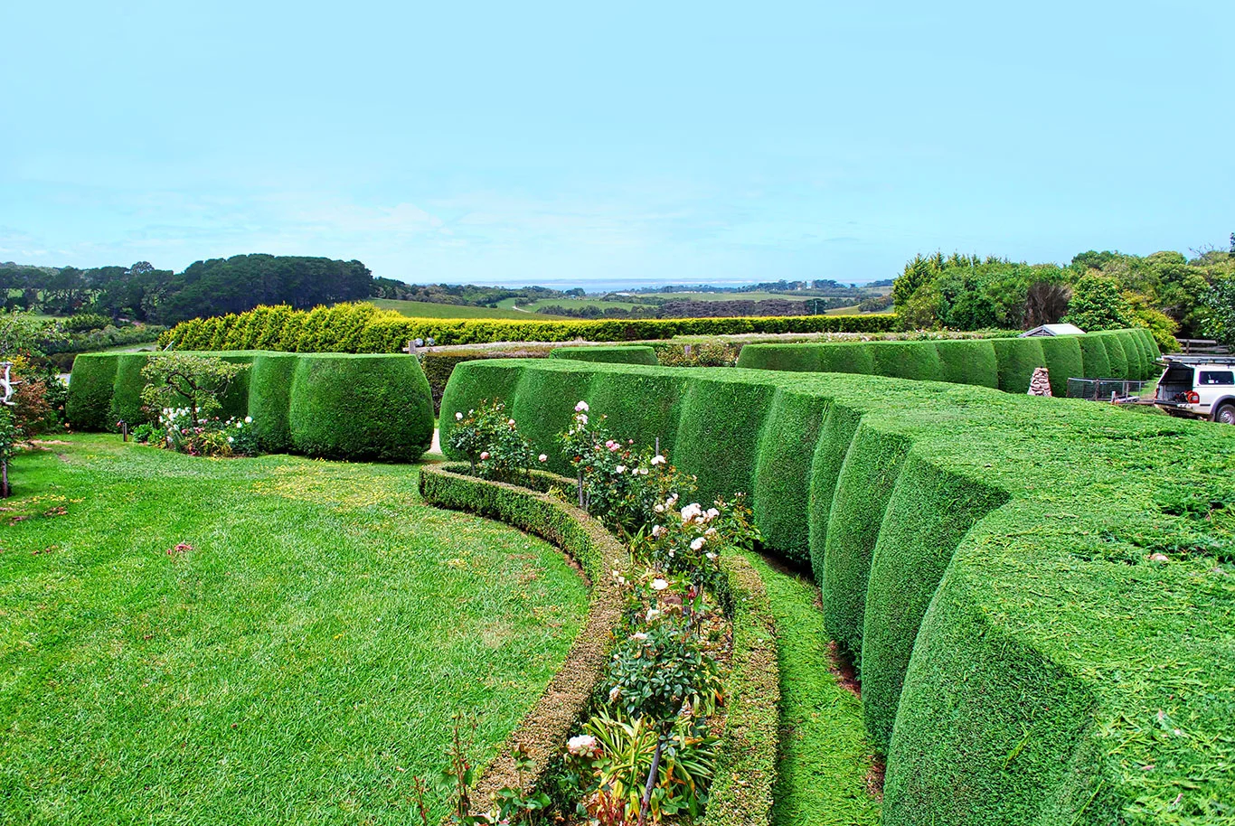 Straight-Hedge-hero.jpg