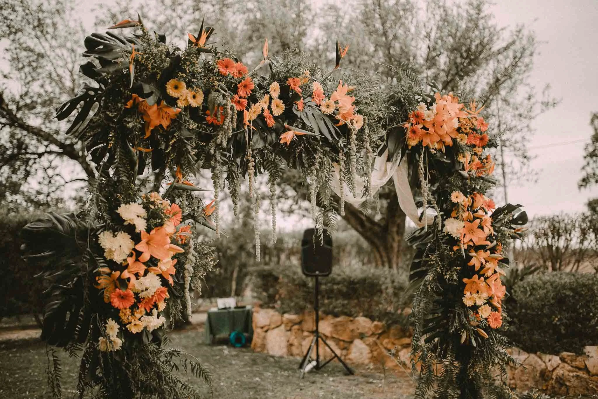 Omara WEb (82 of 173).jpg