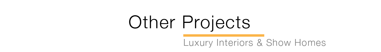 other_projects_Team Page.png