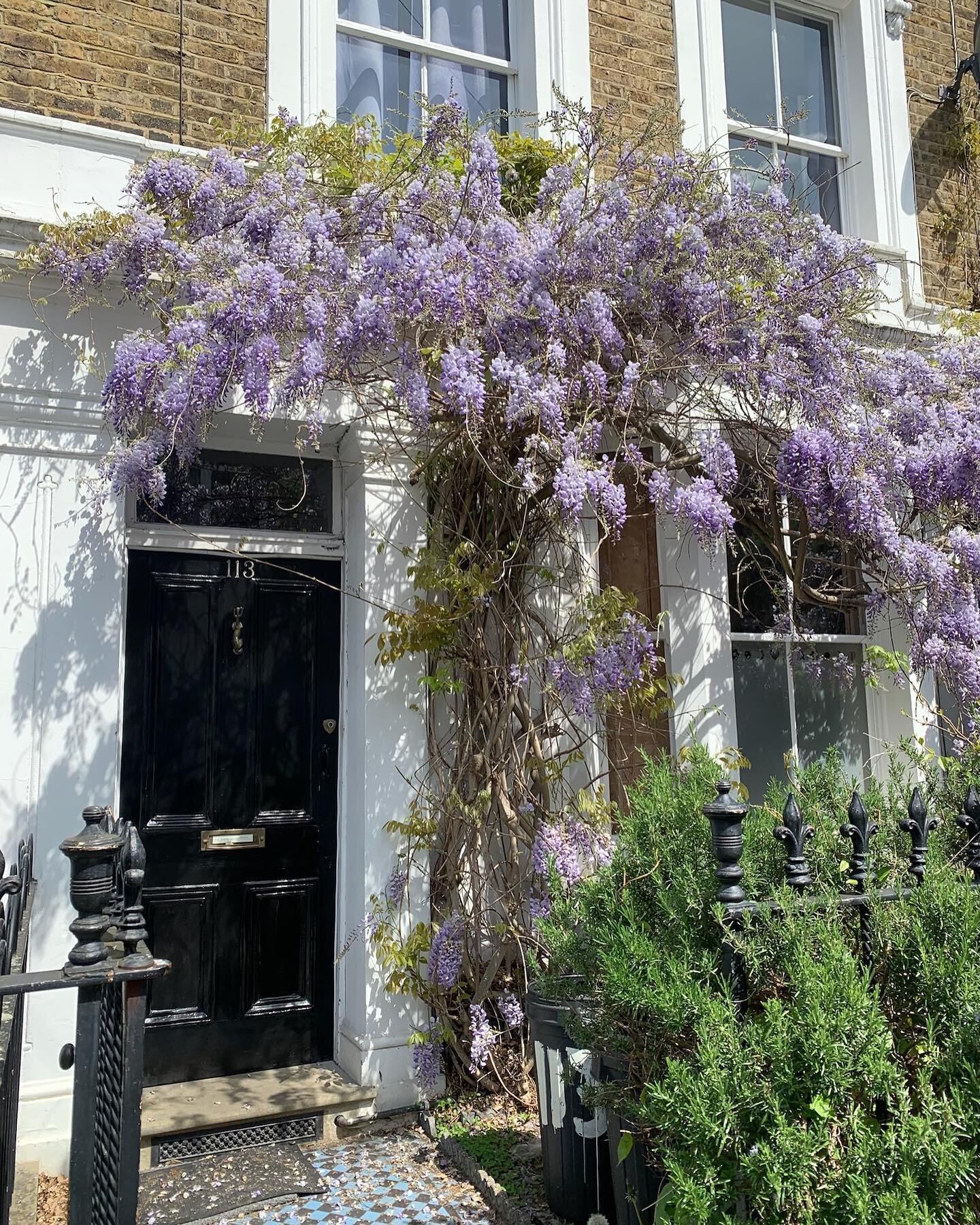 London in bloom 🌺🌸🌼

Our team are loving the vibrant displays of nature's beauty combined with the city's charm. The wonderful season of spring brings a burst of colourful flowers to the pretty doors throughout the neighbourhoods.&nbsp;

Which is 