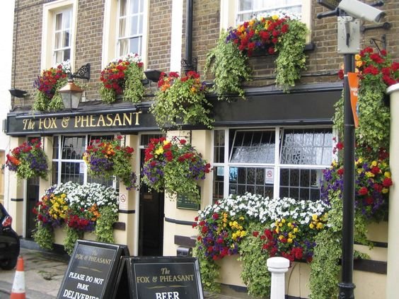 The Fox and Pheasant, Fulham, London