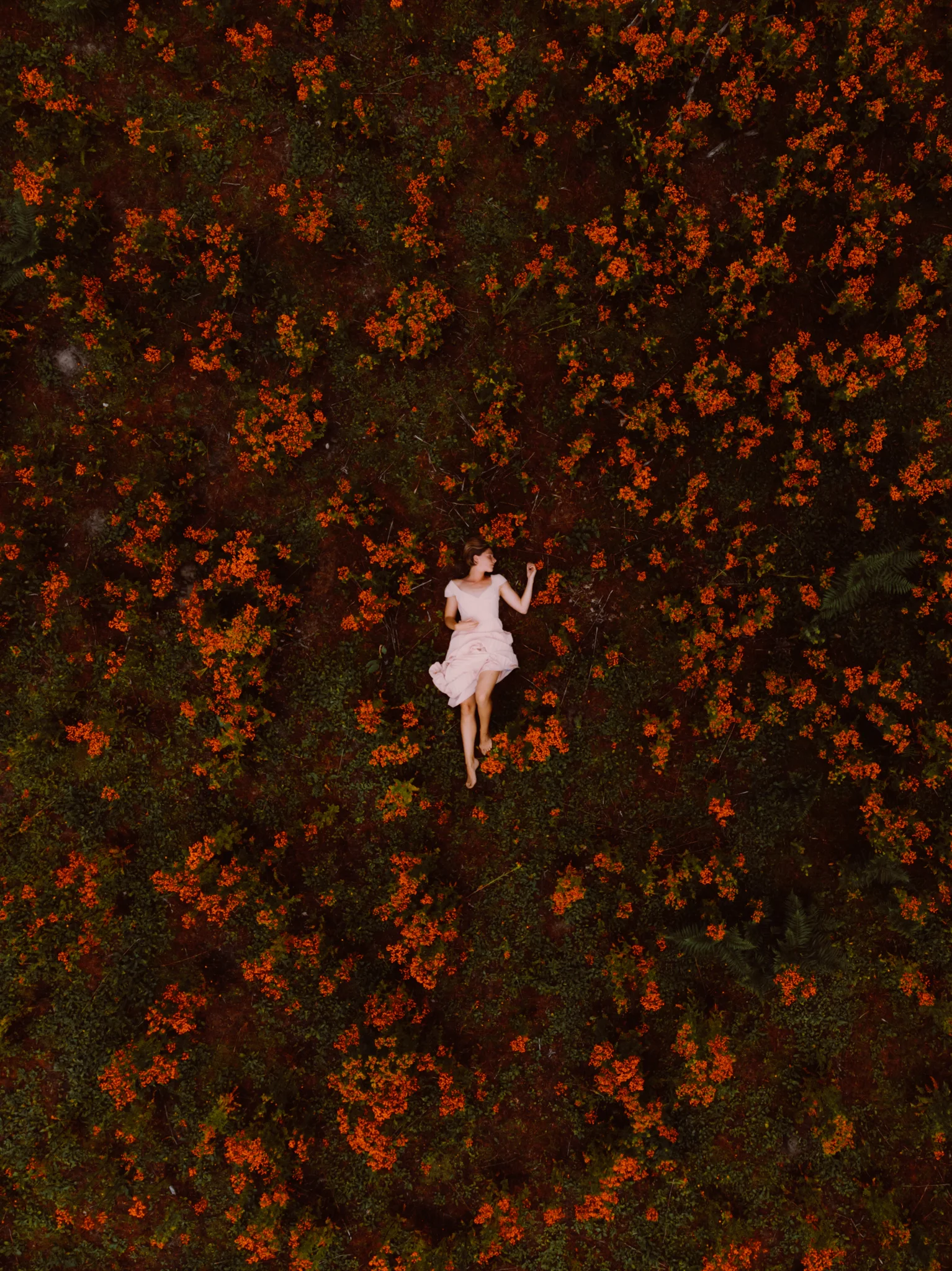 Barefoot Fairytale