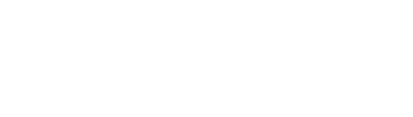 ELMEDIA-logo-wit.png