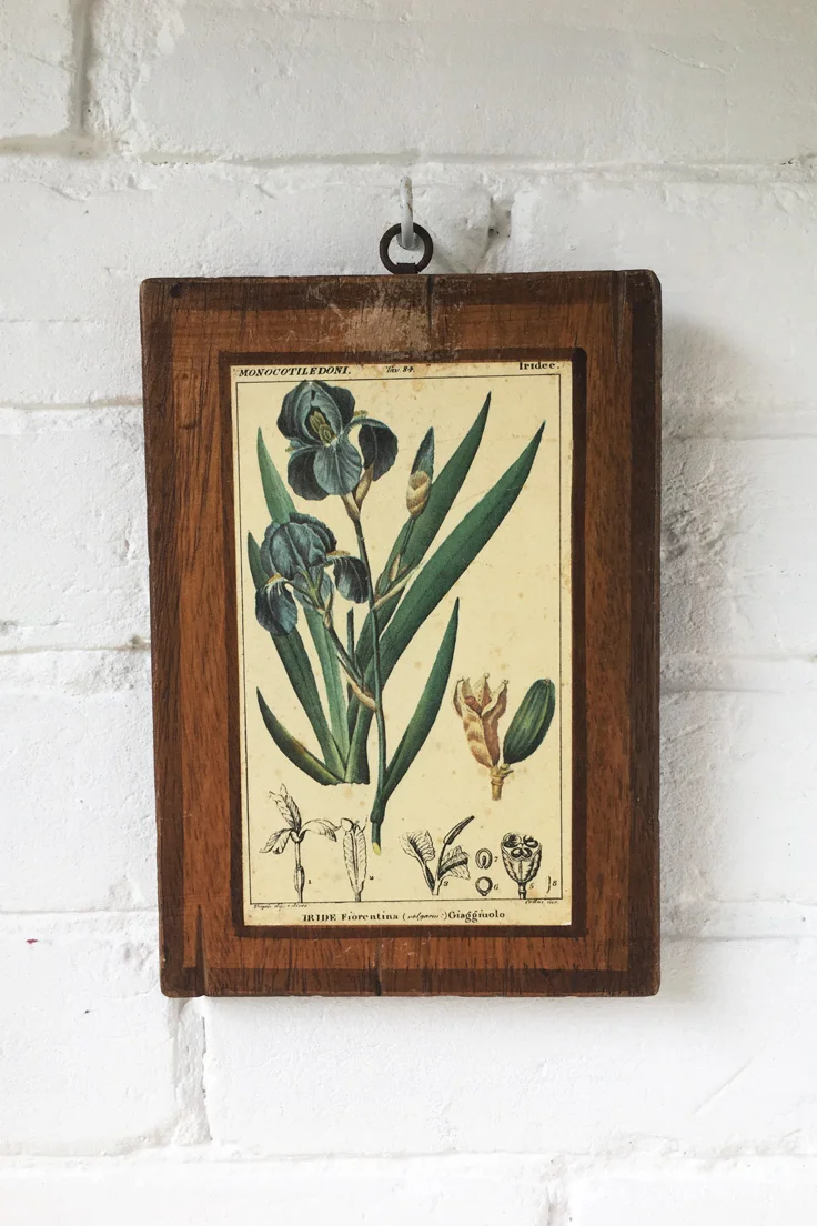 Vintage Italian Botanical Wall Tiles (set of 4)