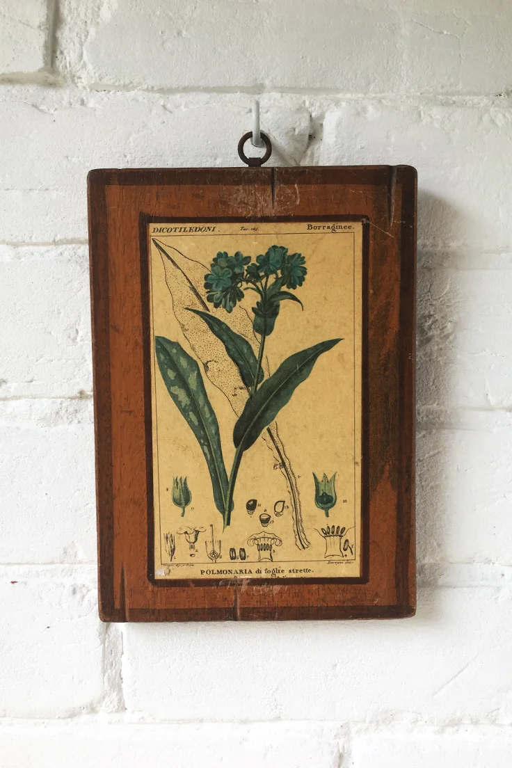 Vintage Italian botanical wall tiles