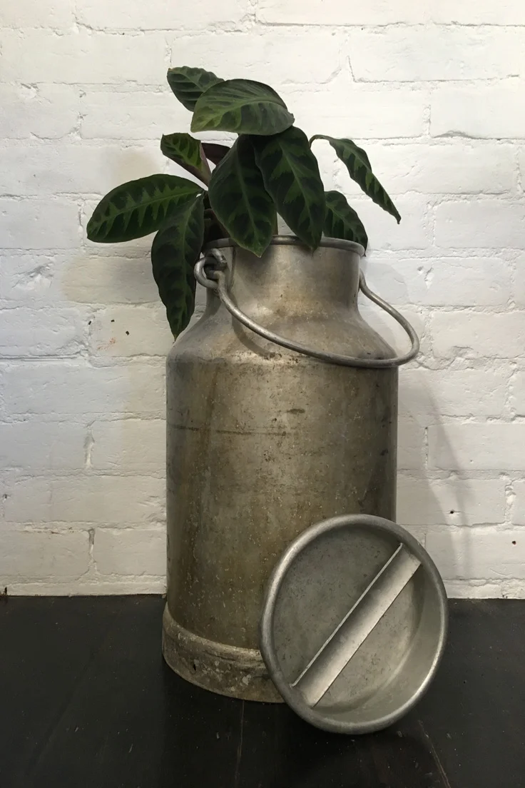 Vintage Milk churn