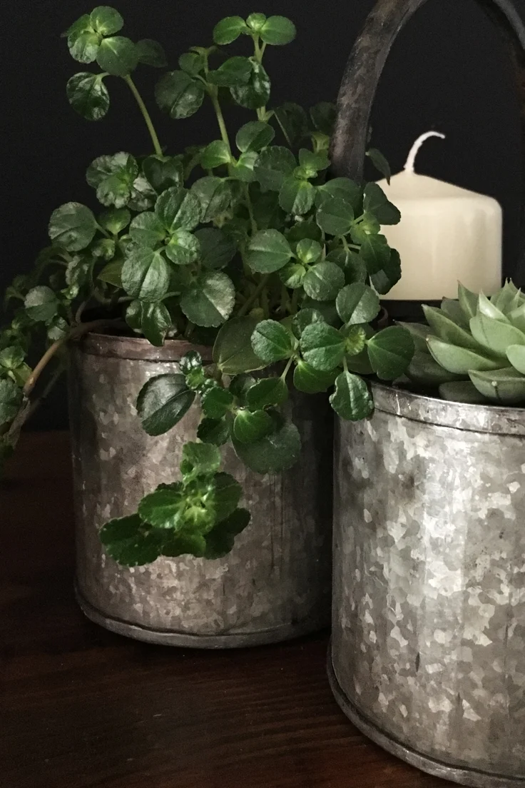 Vintage Galvanised Steel Carry pot