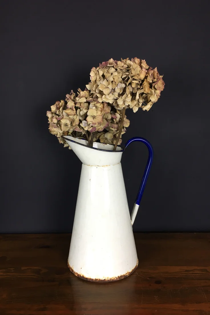 Vintage Enamel Jug