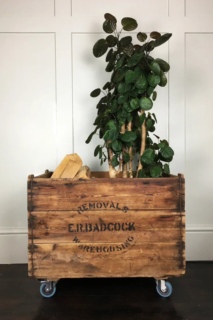 Vintage Wooden Removals Crate