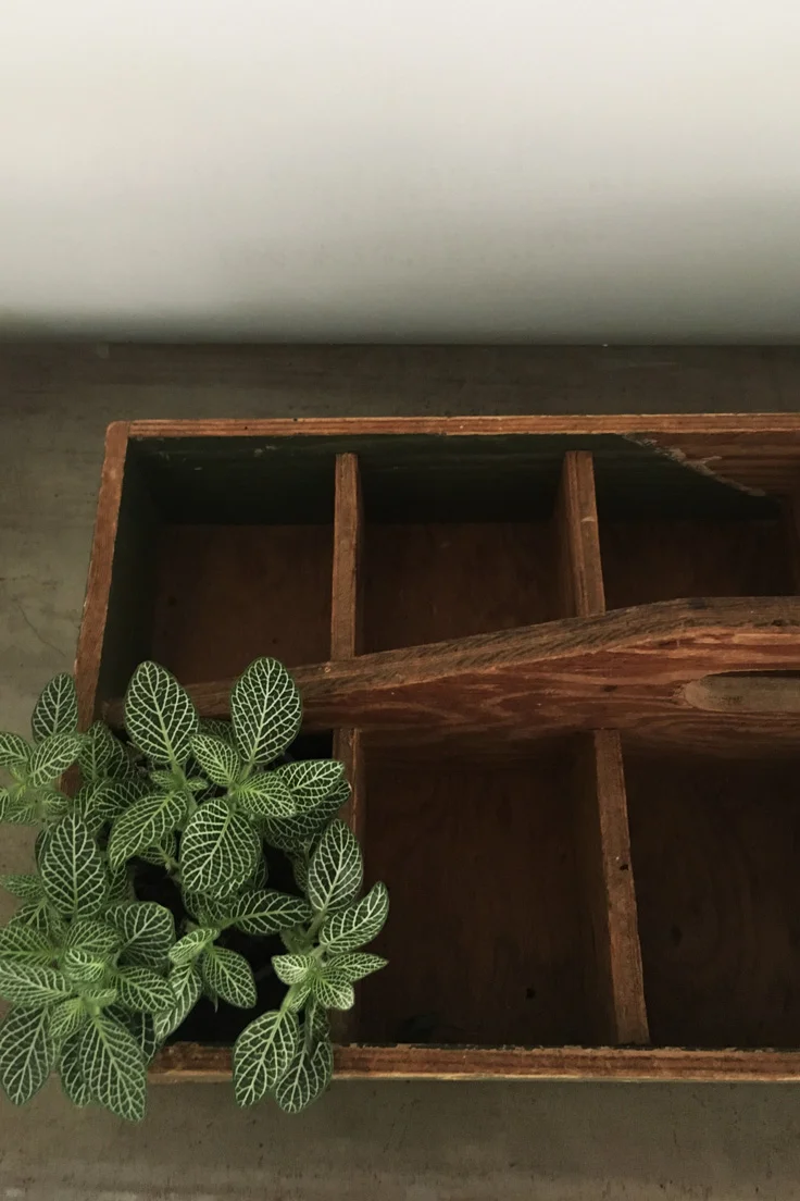 Vintage Wooden Compartment Tray