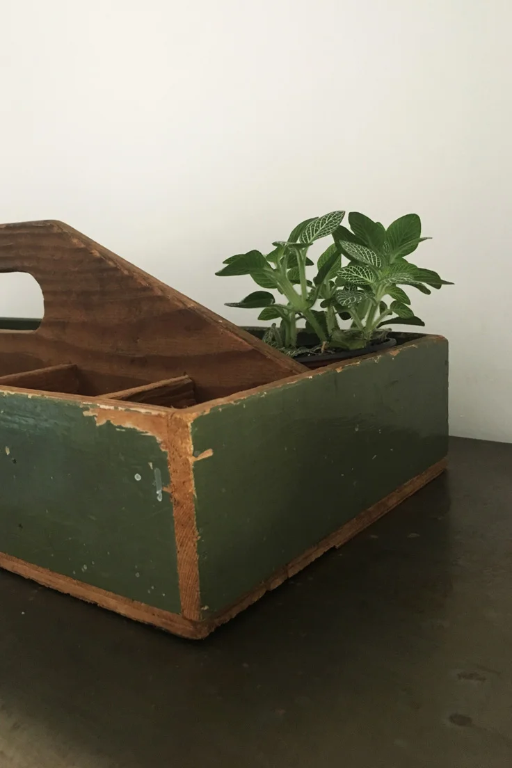 Vintage Wooden Compartment Tray