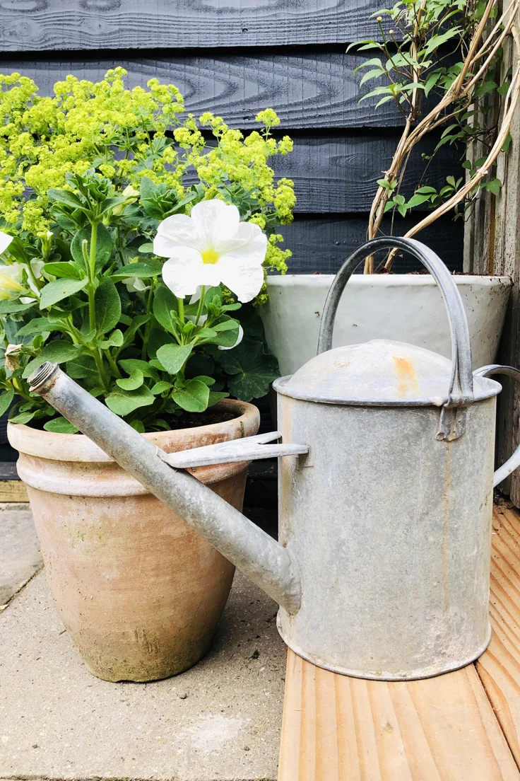 Vintage Galvanised Watering Can