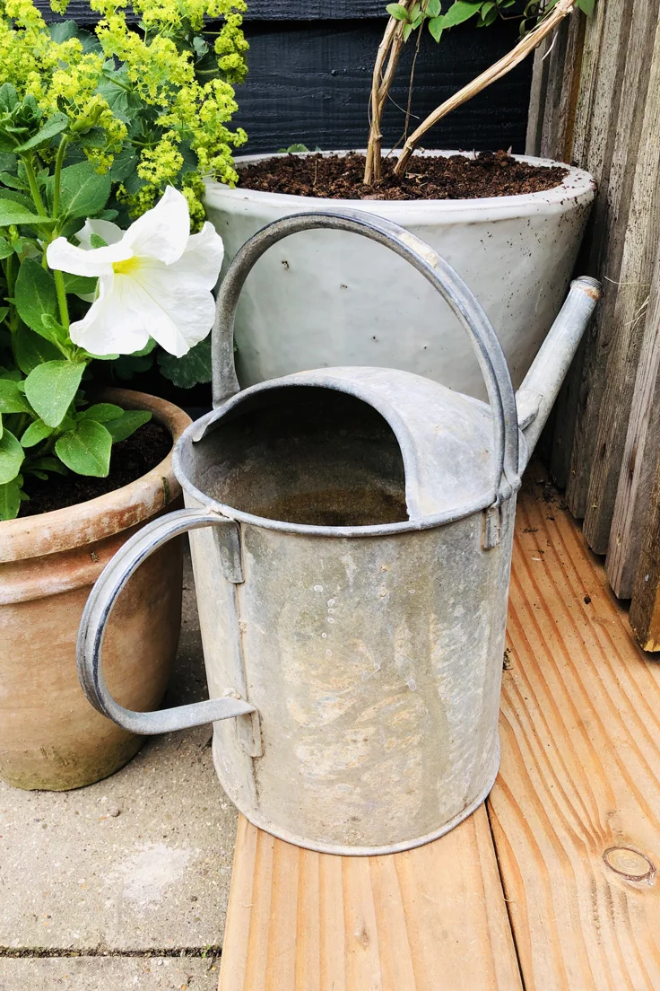 Vintage Galvanised Watering Can