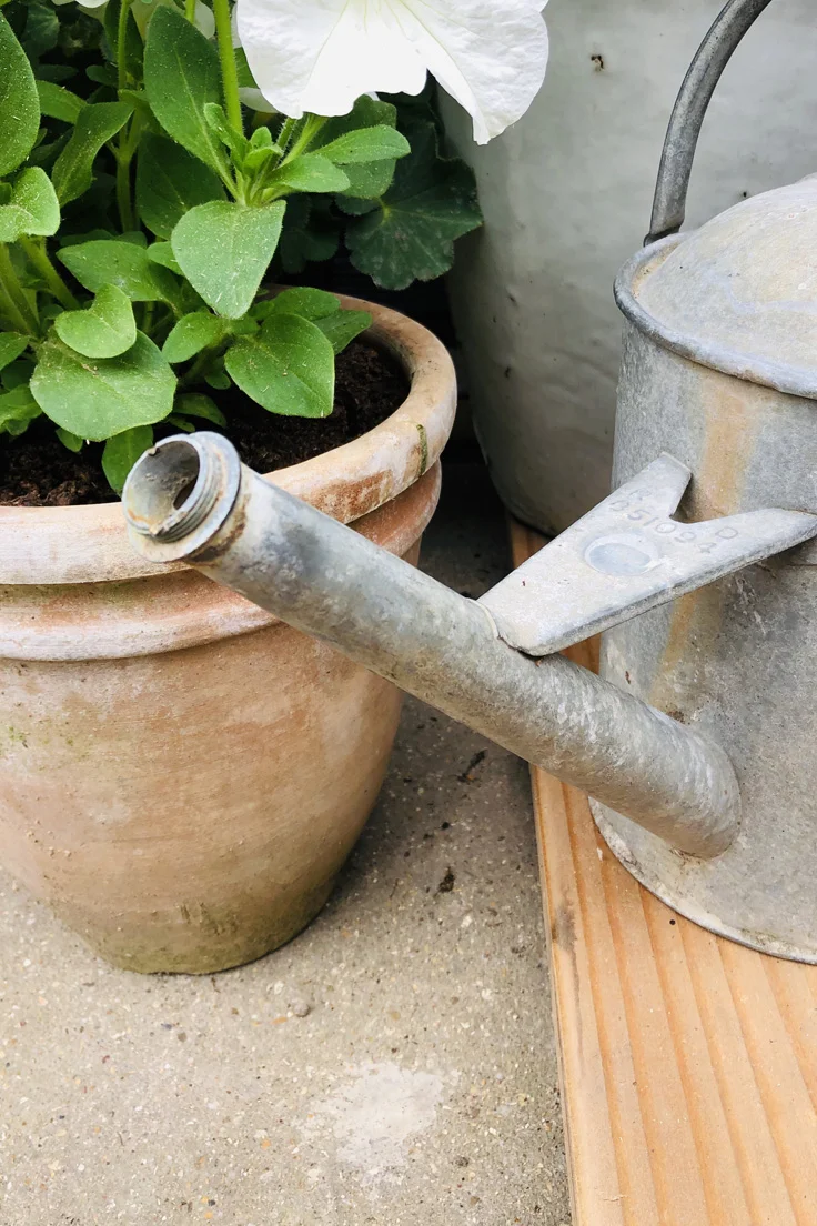 Vintage Galvanised Watering Can
