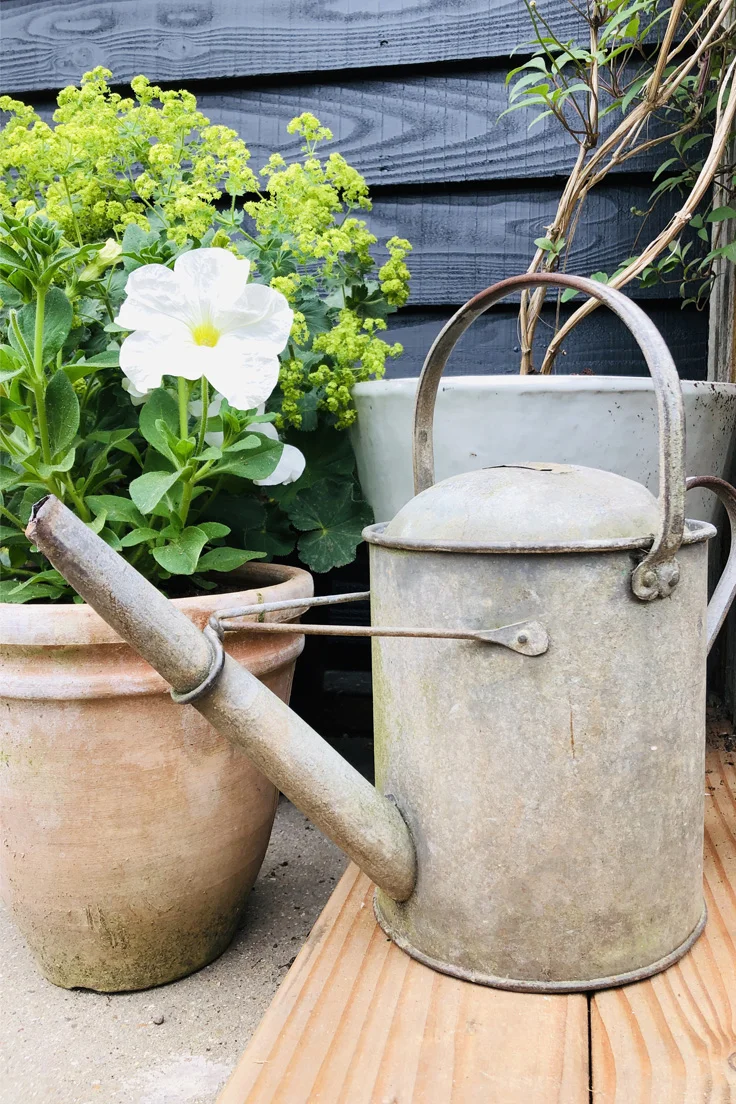 Vintage Galvanised Watering Can