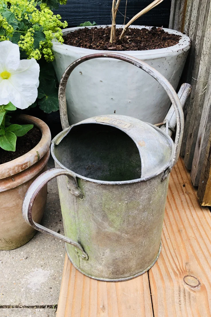 Vintage Galvanised Watering Can