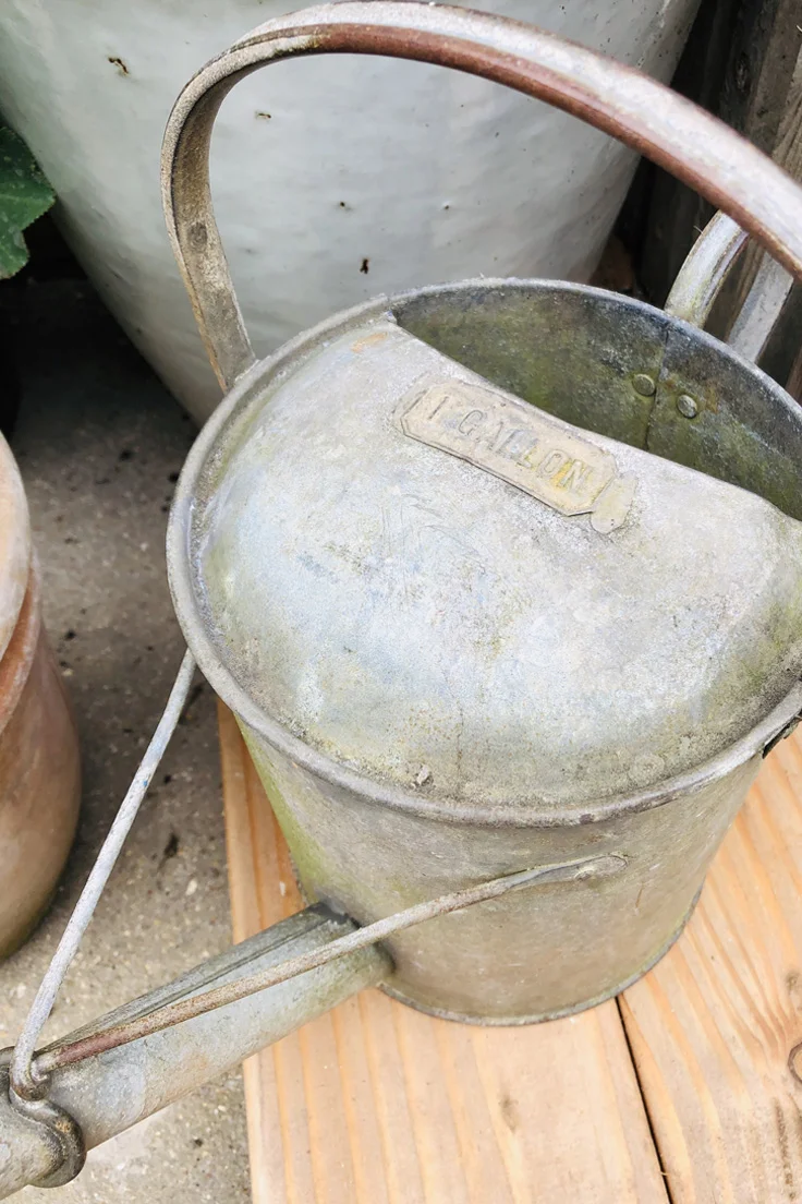 Vintage Galvanised Watering Can