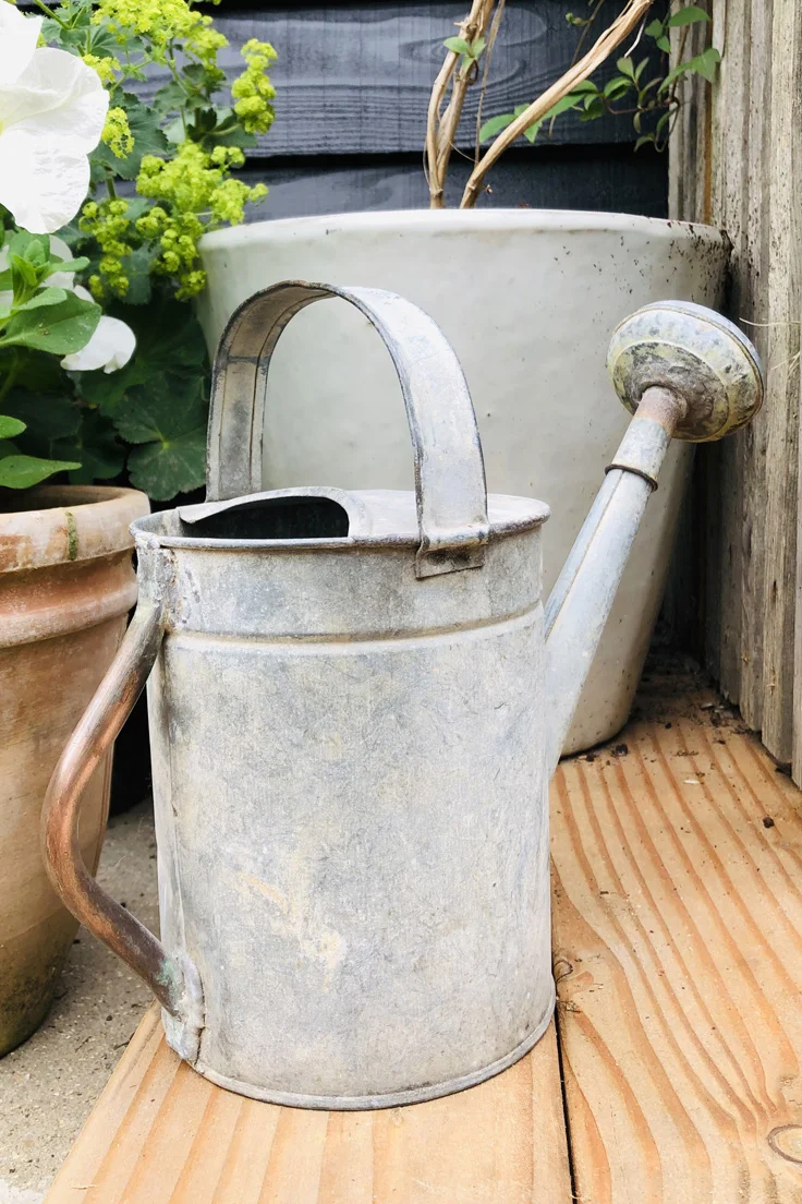 Vintage Galvanised Watering Can
