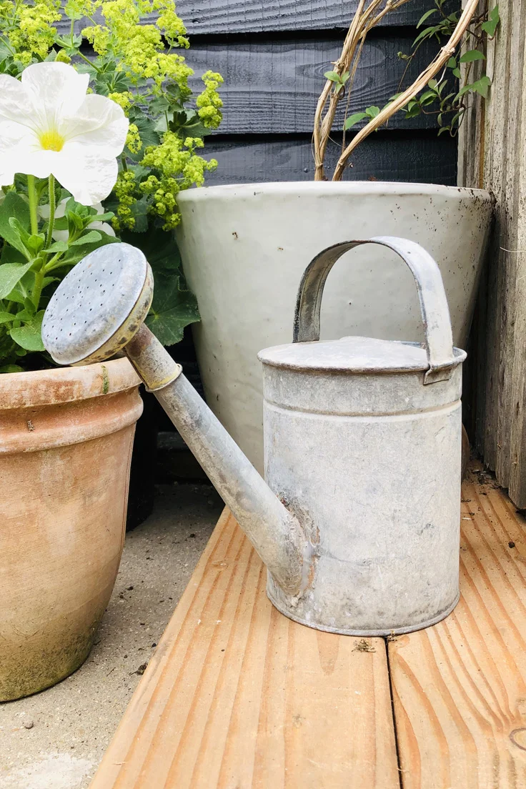 Vintage Galvanised Watering Can