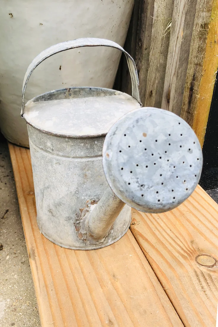 Vintage Galvanised Watering Can