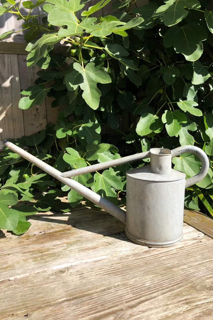 vintage Haws galvanised watering can