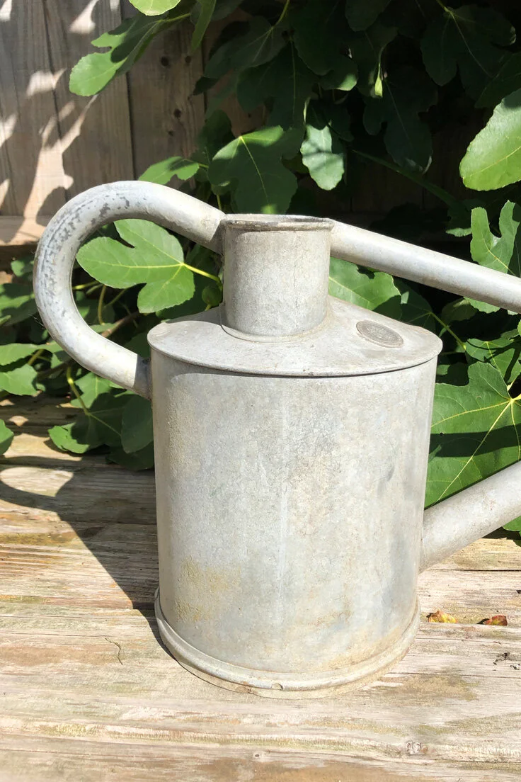 vintage Haws galvanised watering can