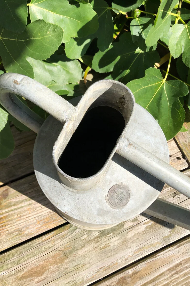 vintage Haws galvanised watering can